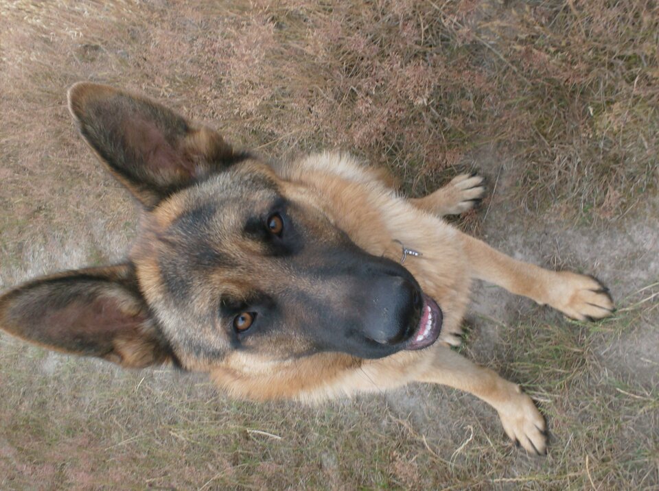 HPIM1674.JPG - Zenek1956