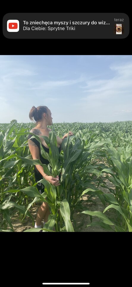 4F0DD9ED-7342-49DE-9415-1970FAD0D834.jpeg - MyOni1980