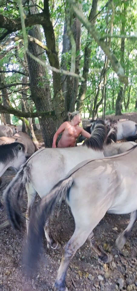 IMG_20240708_175300.jpg - nocna_para