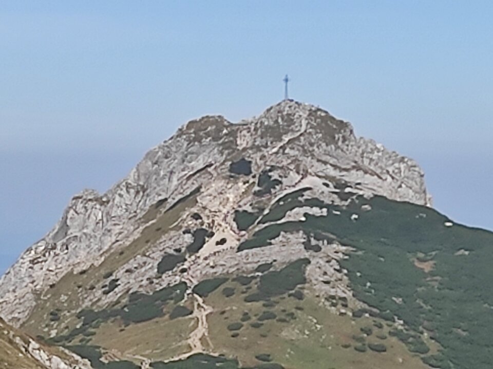 IMG_20210911_115217.jpg - Borsuczki1970