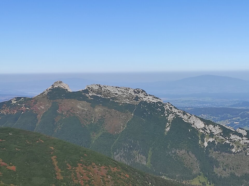 IMG_20210911_100932.jpg - Borsuczki1970