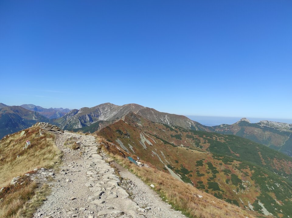 IMG_20210911_102254.jpg - Borsuczki1970