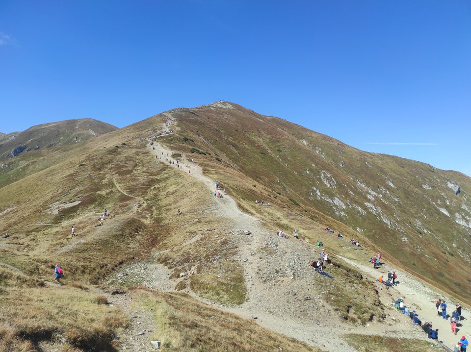 IMG_20210911_115547.jpg - Borsuczki1970