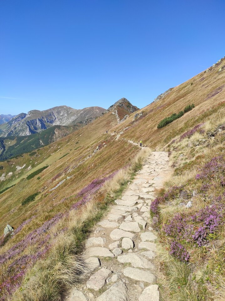 IMG_20210911_104057.jpg - Borsuczki1970