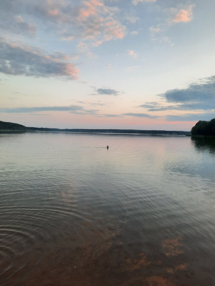 20230715_210705.jpg - Brunus