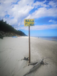 IMG_20240708_111301.jpg