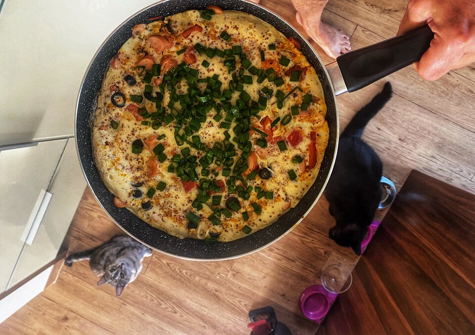 🐈🐈🤣🤣 - serialowapara19782