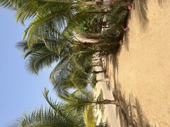 IMG_0212.jpeg