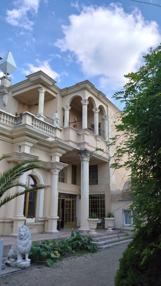 IMG-20240626-WA0028~3.jpg - avocadoZpestka