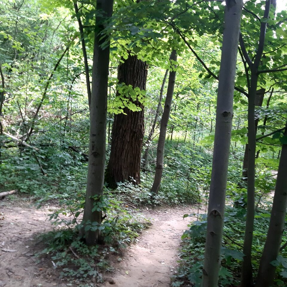 20240709_135814.jpg - Ali70plus