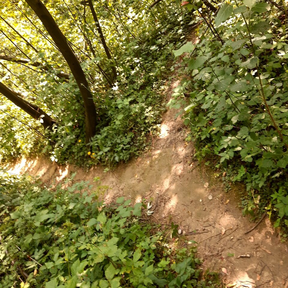 20240709_132608.jpg - Ali70plus