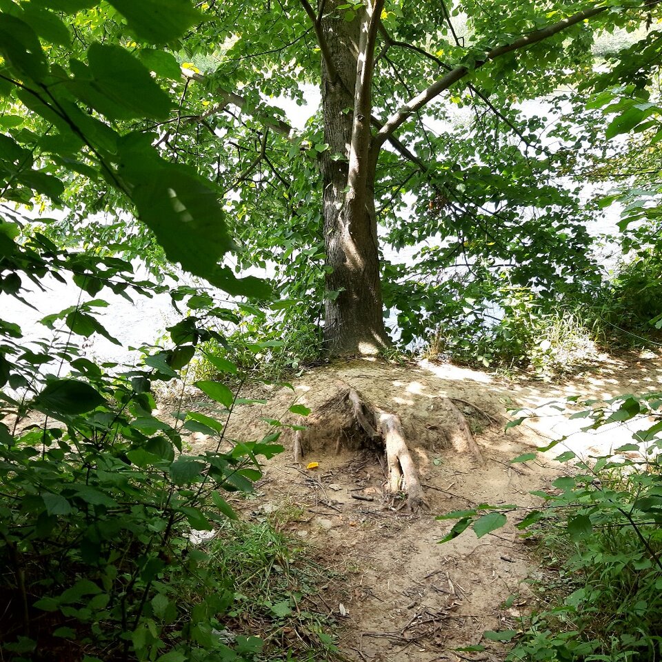 20240709_133240.jpg - Ali70plus