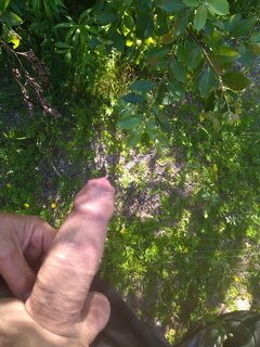 IMG_20240709_165941.jpg