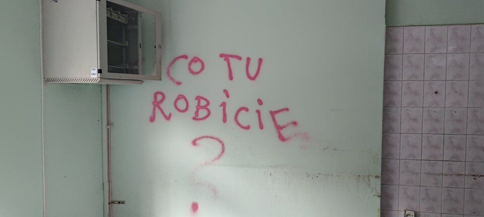 1000013034.jpg - Maciek1182