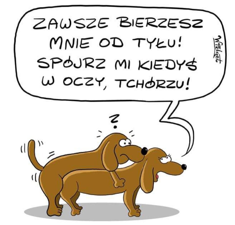 IMG_20240710_070328.jpg - Dymajacy007