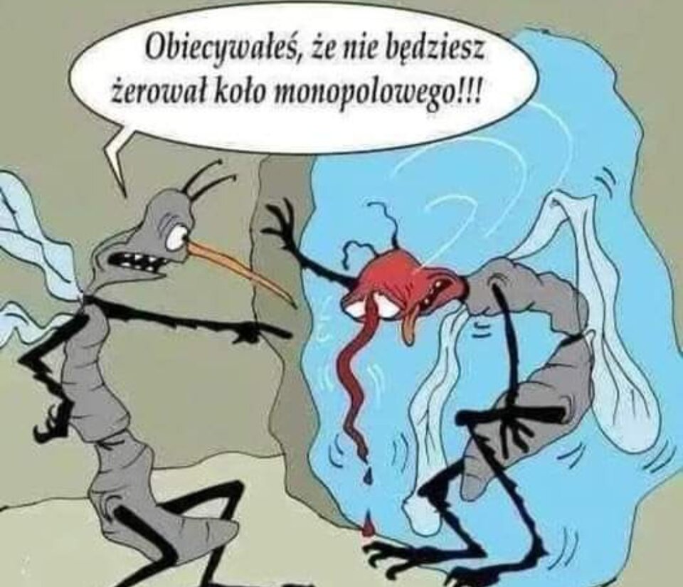 IMG_20240602_100028.jpg - Dymajacy007