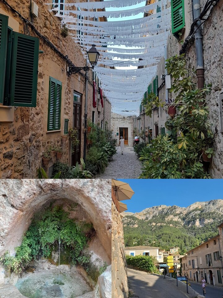 IMG_4385.jpeg - Henryk1