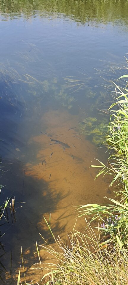 Jedno z zejść w Nadawkach. Trzeba uważać na małego :p - Dobrykontakt20