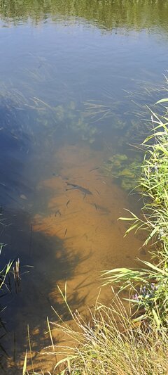 Jedno z zejść w Nadawkach. Trzeba uważać na małego :p