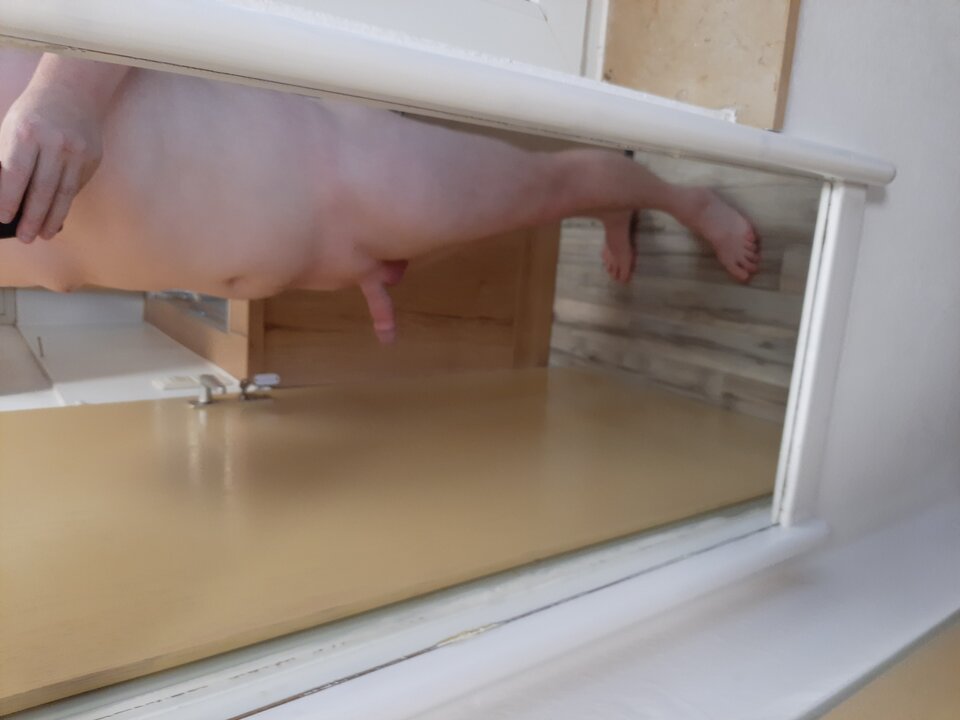 20240710_154342.jpg - Przytulasekreany