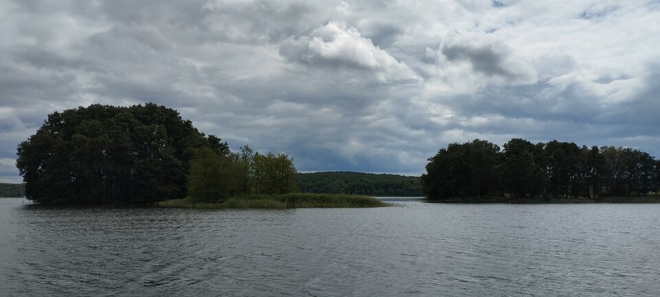IMG_20240702_142541.jpg - torii99