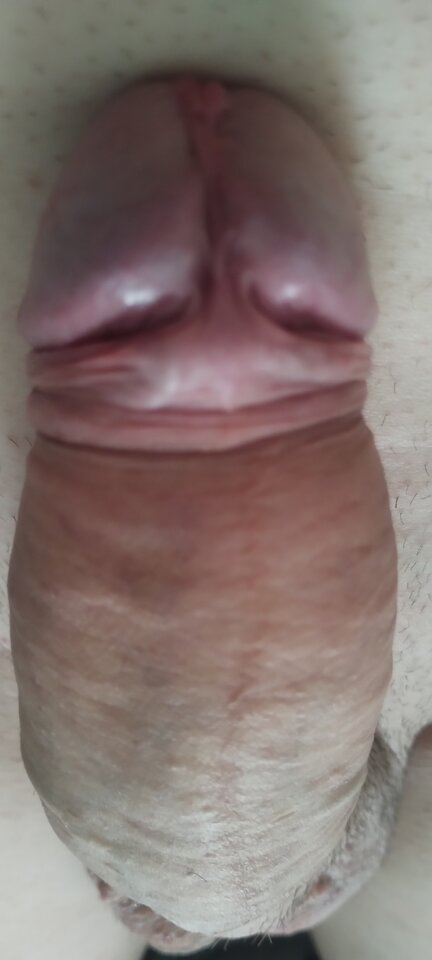 1000004587.jpg - maciek19cm