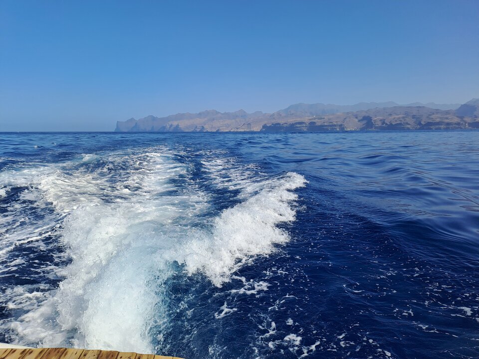 1000001646.jpg - Pandogb