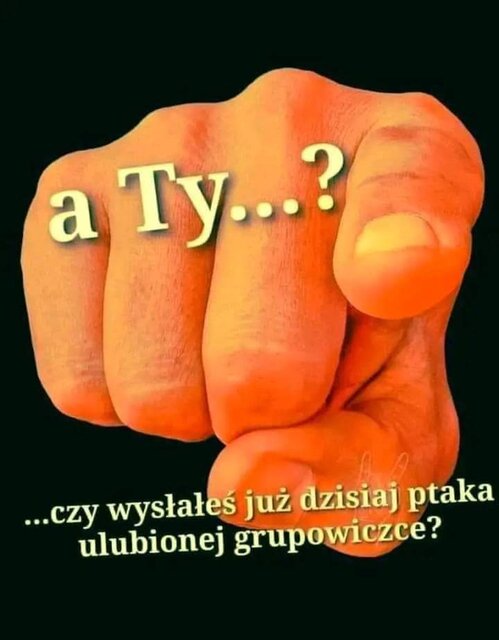 FB_IMG_1720295576056.jpg - LizaczSlask