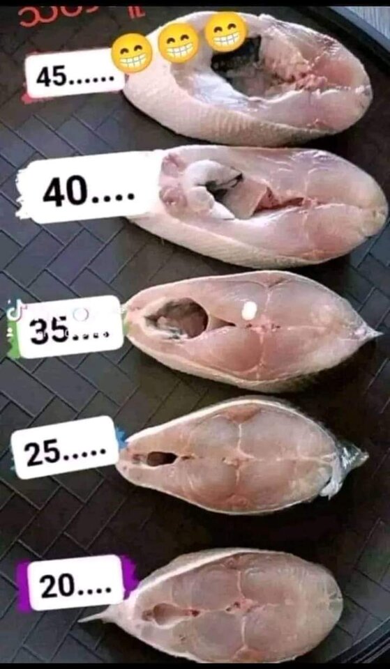 FB_IMG_1720629809427.jpg - KutasekTIR