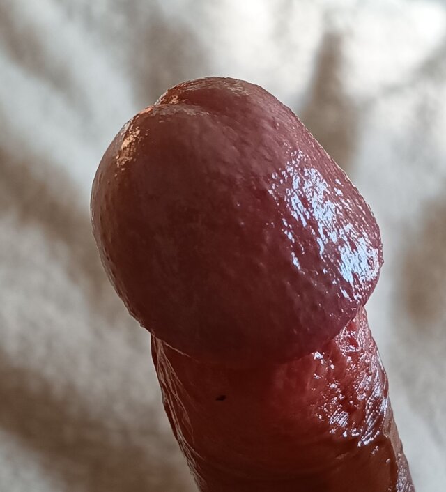 seb197