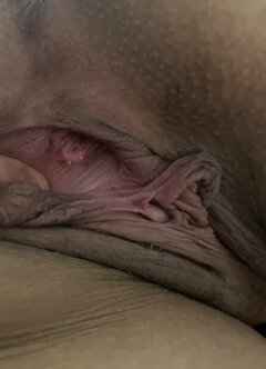 IMG_6332.jpeg