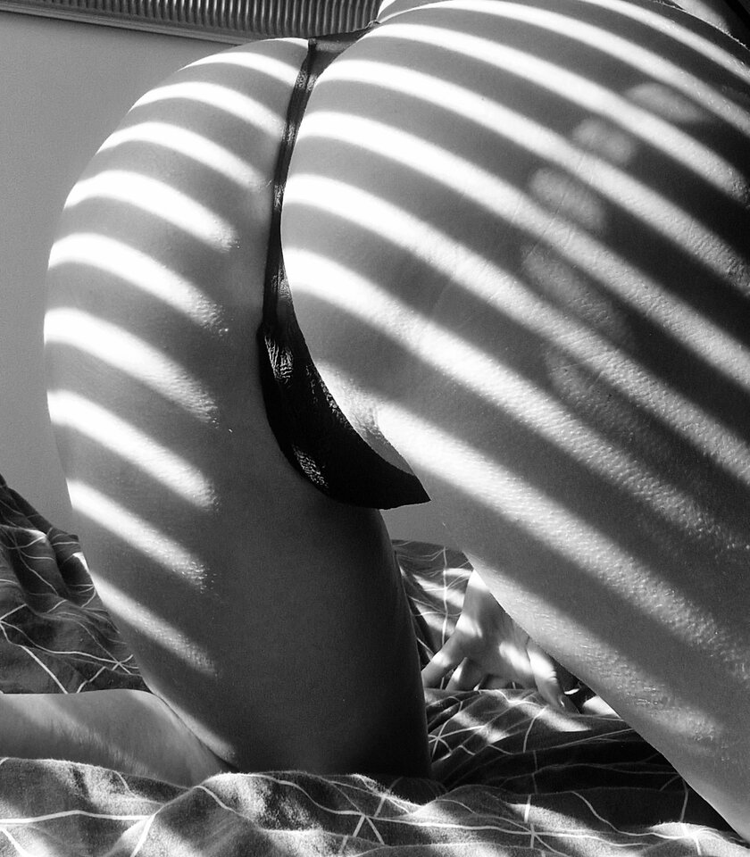 20240711_080537.jpg - SyskaSzary