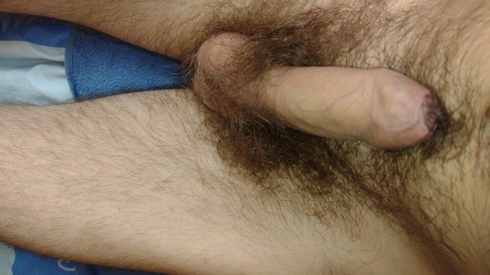 IMG_20240711_123206221.jpg - dekode