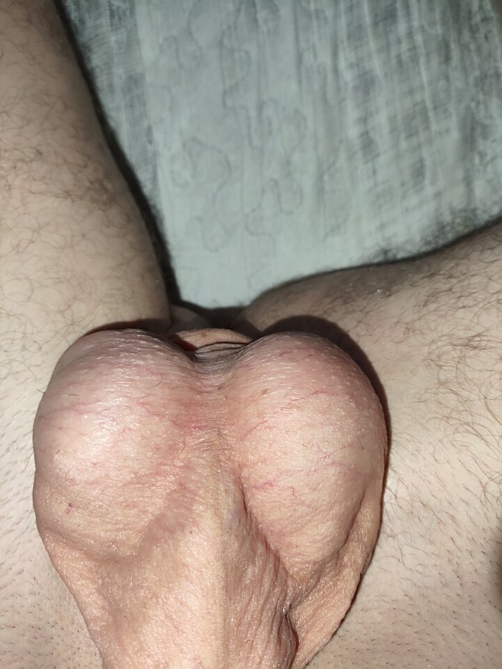 1000006543.jpg - szogunra