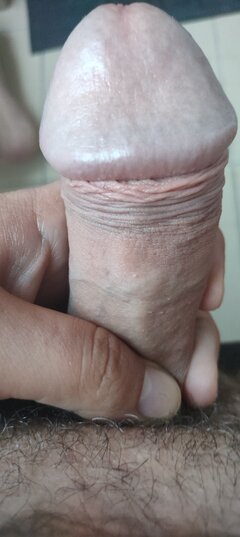 1000019238.jpg
