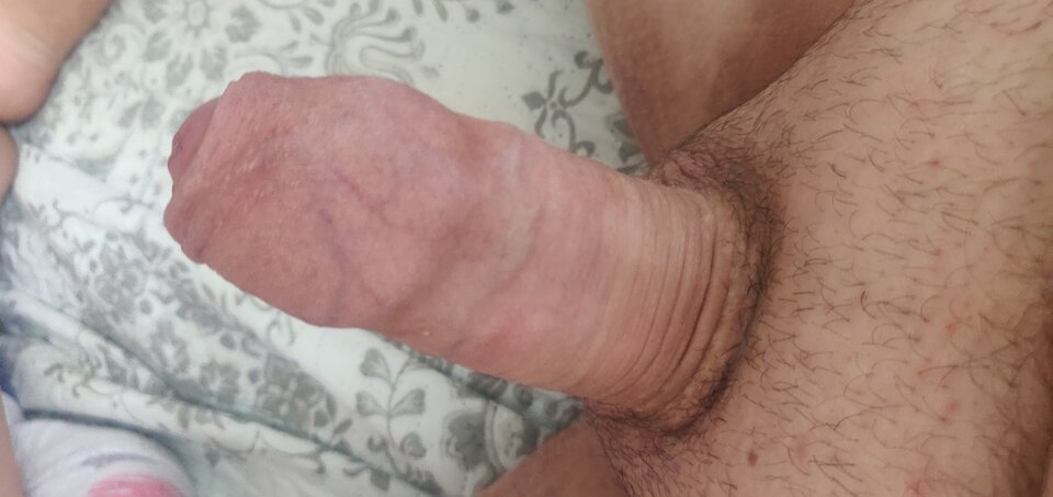 IMG_20240712_115213.jpg - fajnykutasek25