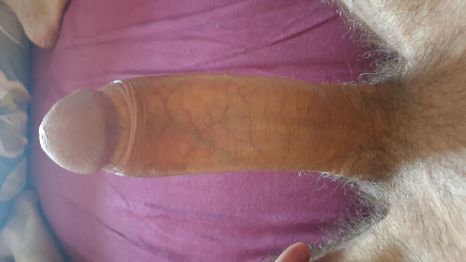 20240712_121629.jpg - jarek1724