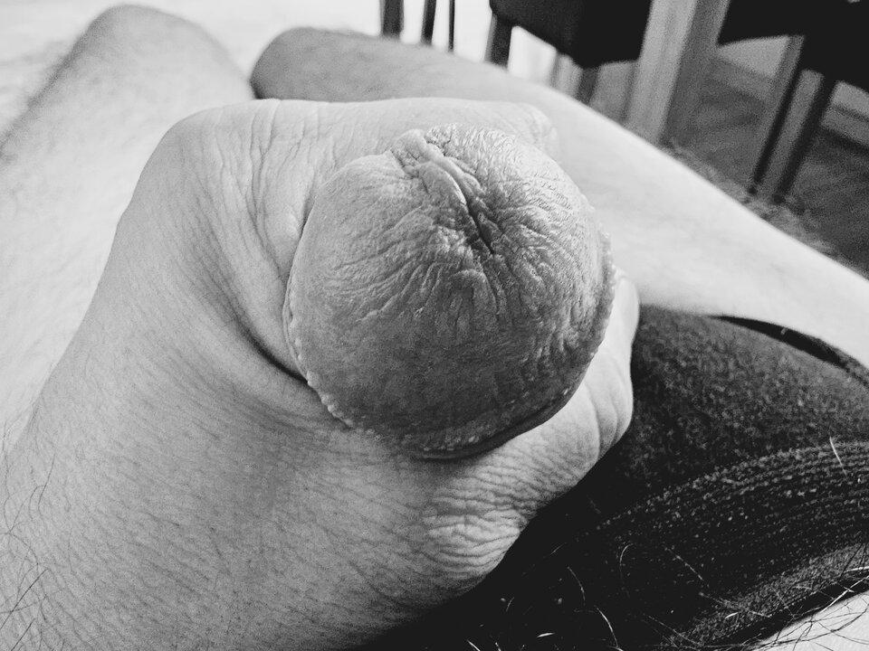 1000002518.jpg - Rokosz42