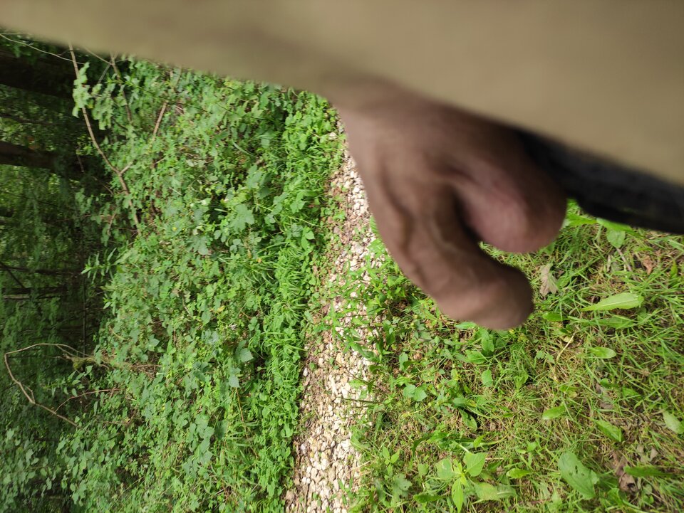 IMG_20240712_132054.jpg - Adamadam1978