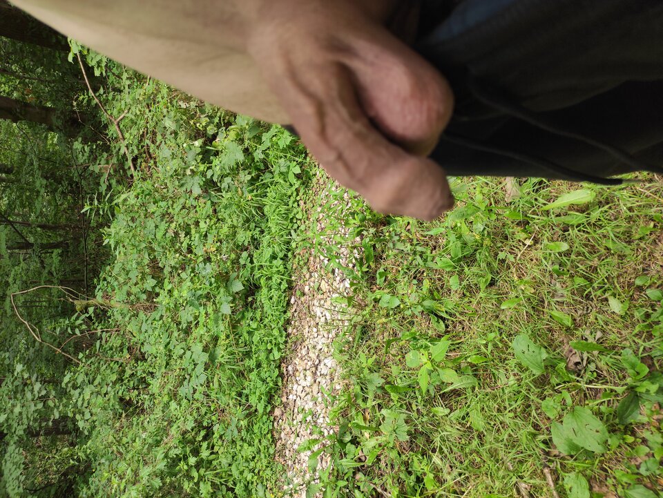 IMG_20240712_132058.jpg - Adamadam1978