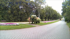 CHORZÓW - Park Śląski - przy słoniku.mp4_snapshot_00.08.424.