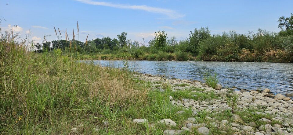 20240719 - nowytomas