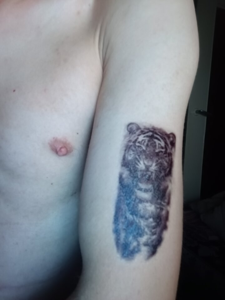 IMG_20240712_234516_281.jpg - Klepo