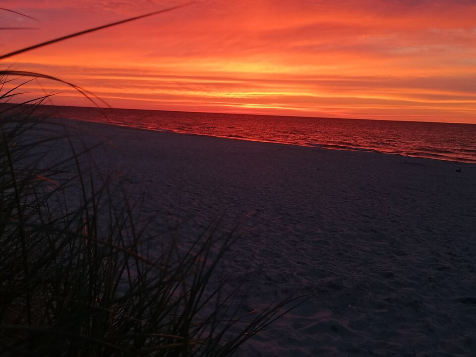 IMG_20240712_213818.jpg - elektroluz