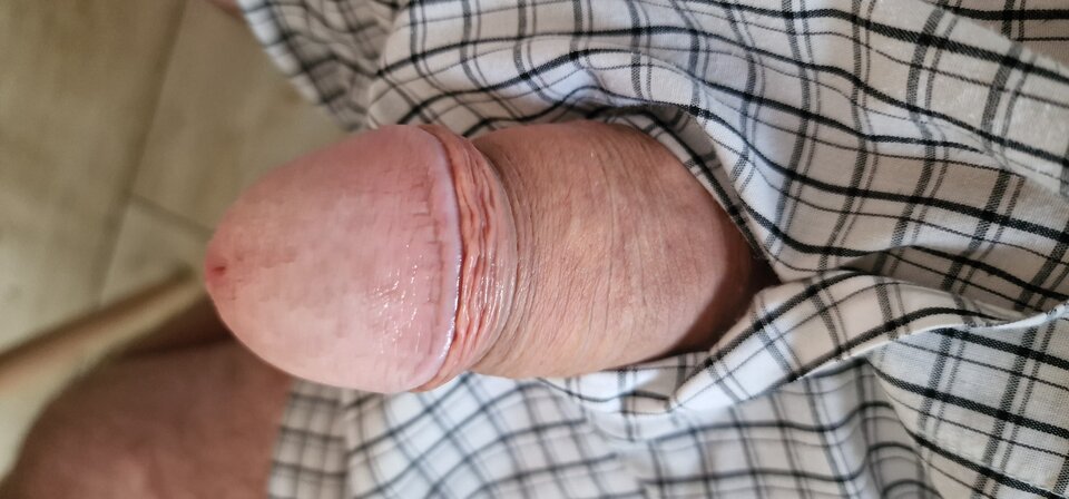 17208487118451484860049300615771.jpg - robin266