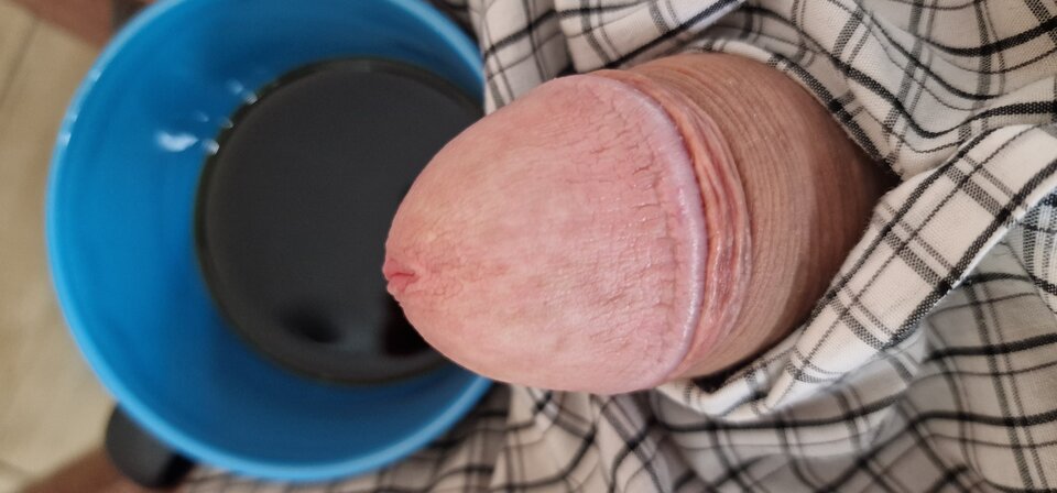 17208487351784694314221083808098.jpg - robin266