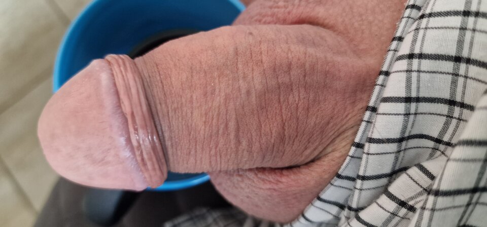 17208488445672374704834719105048.jpg - robin266