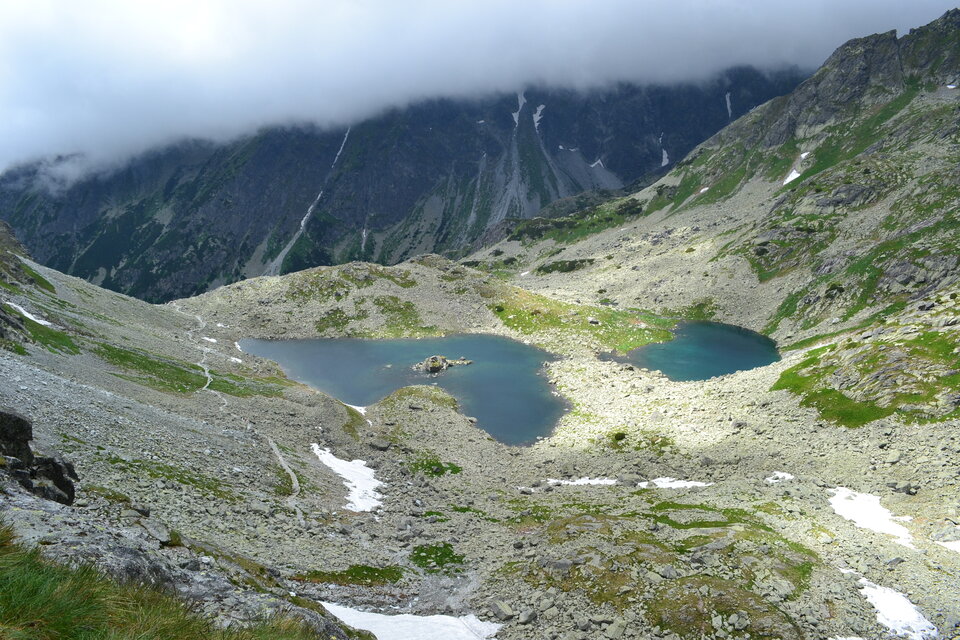 DSC_0222(1).JPG - Borsuczki1970