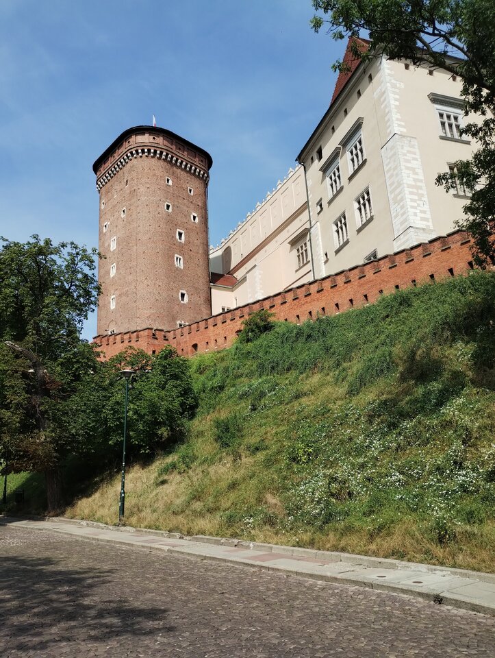 IMG_20240712_101026562.jpg - rafi07