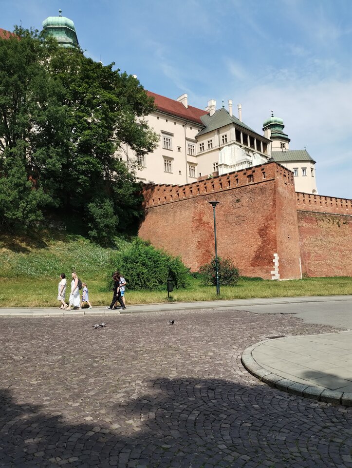 IMG_20240712_100945783.jpg - rafi07